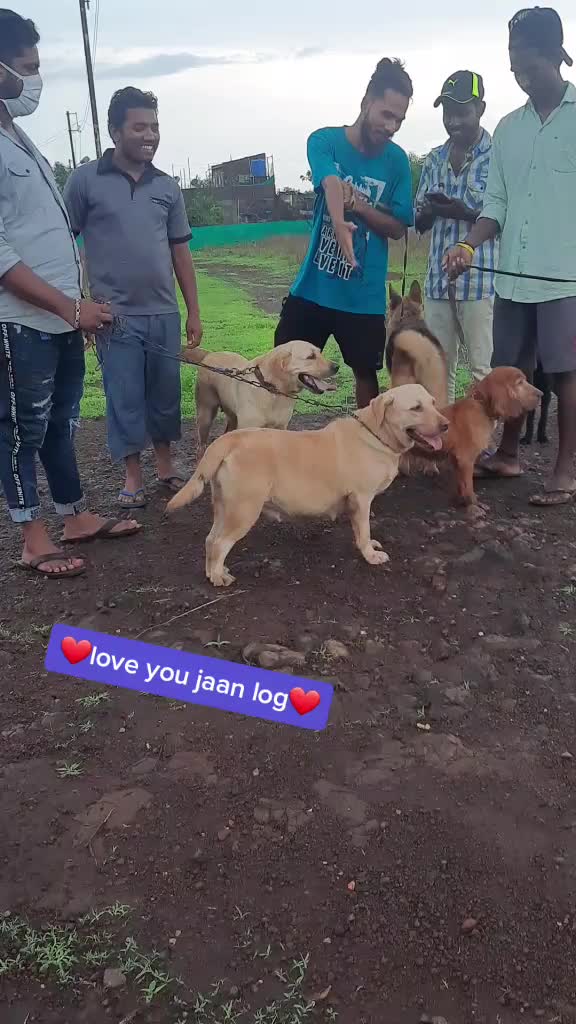 @karan khandale
