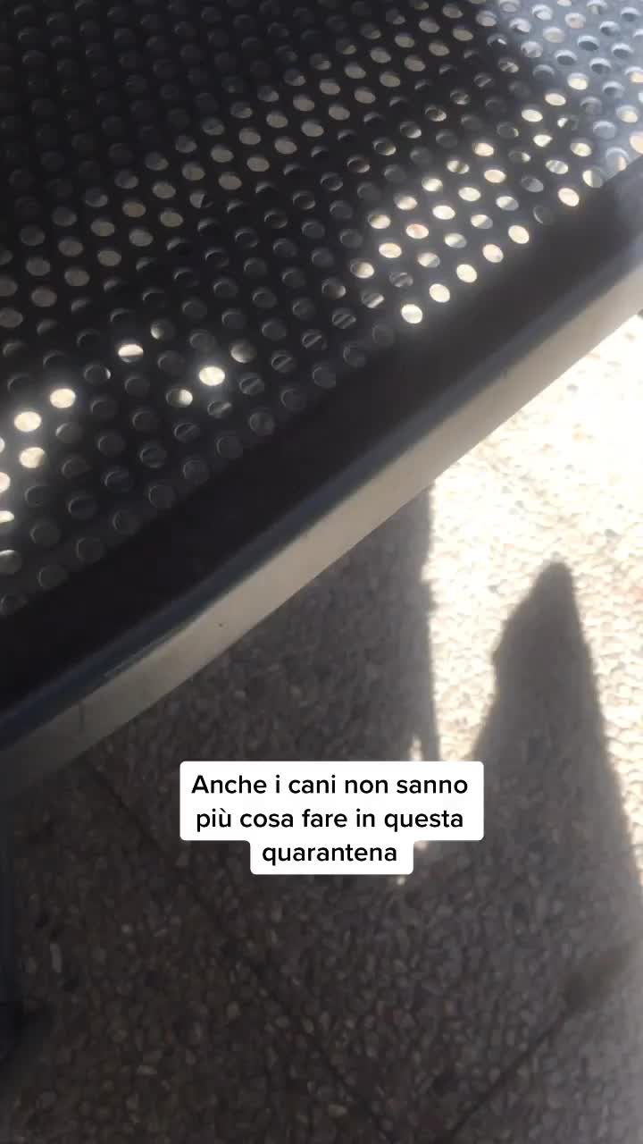 @Tatiana Tambuzzo