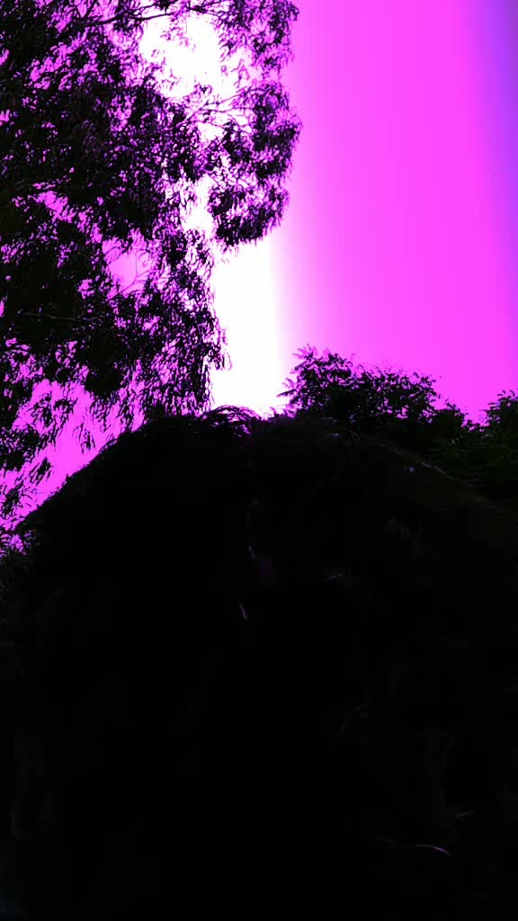@Vishnu rajaka