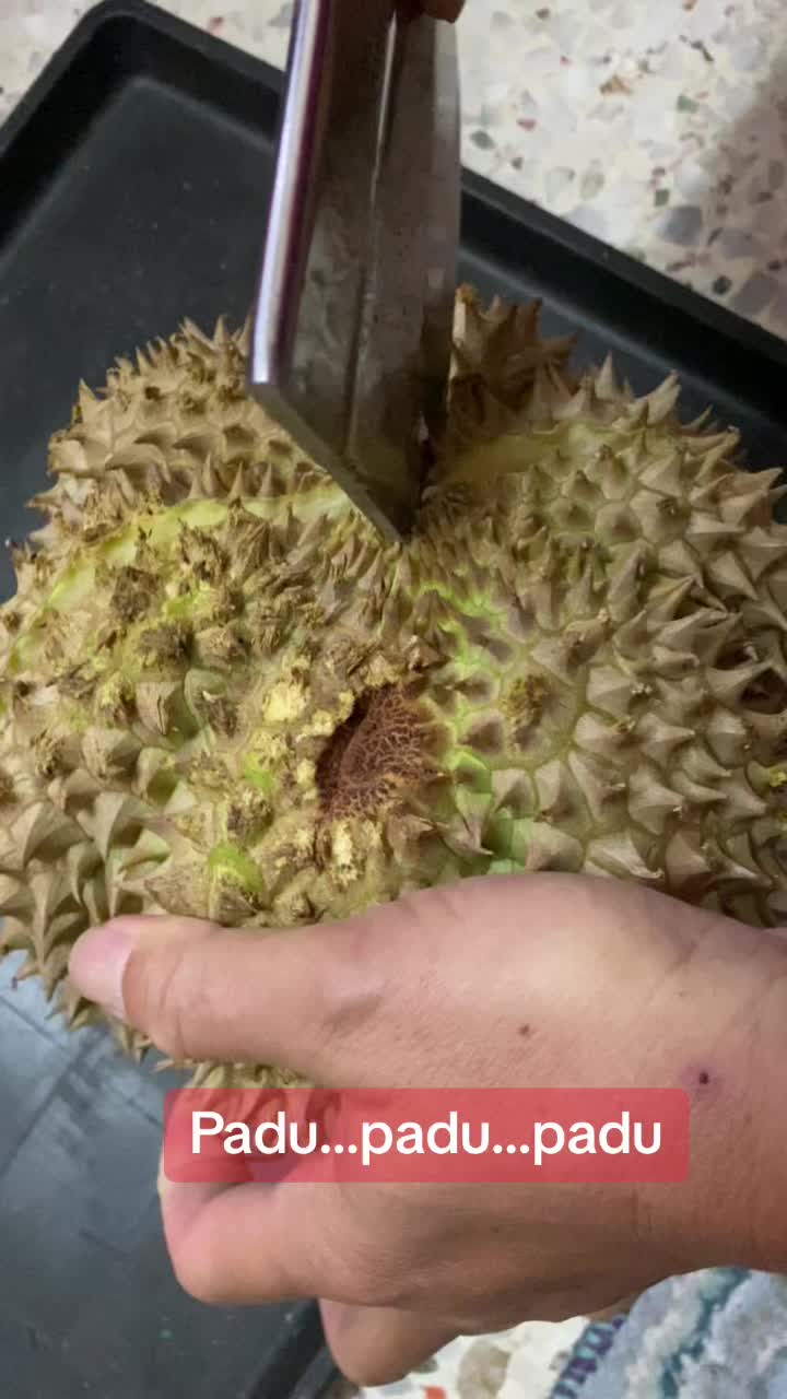 @Durian King Kaki