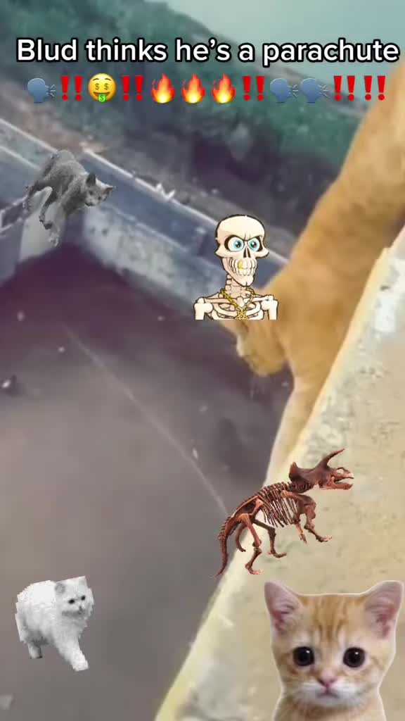@︻╦̵̵͇̿̿̿̿╤──