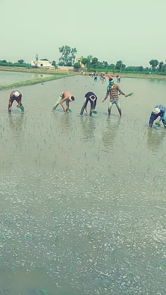 @Vinod Devatiya Vard