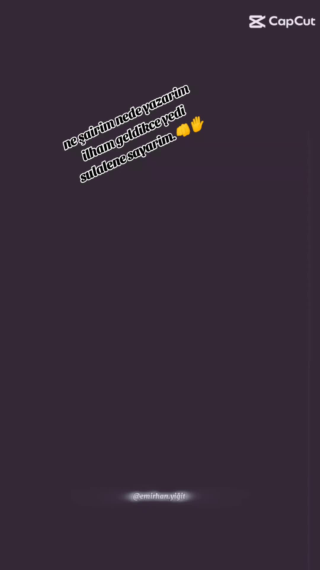 @Axina_dilemin