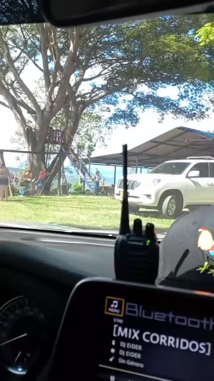 @.🌿