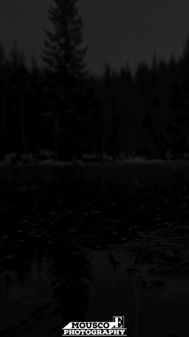 @𝑰𝒂𝒎&bull;Ⓜ️𝒐𝒖𝒔𝒄𝒐
