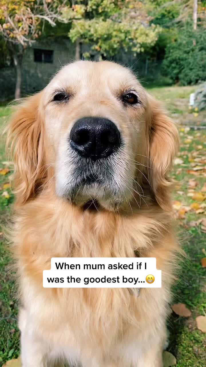 @🐶PENNY🐶