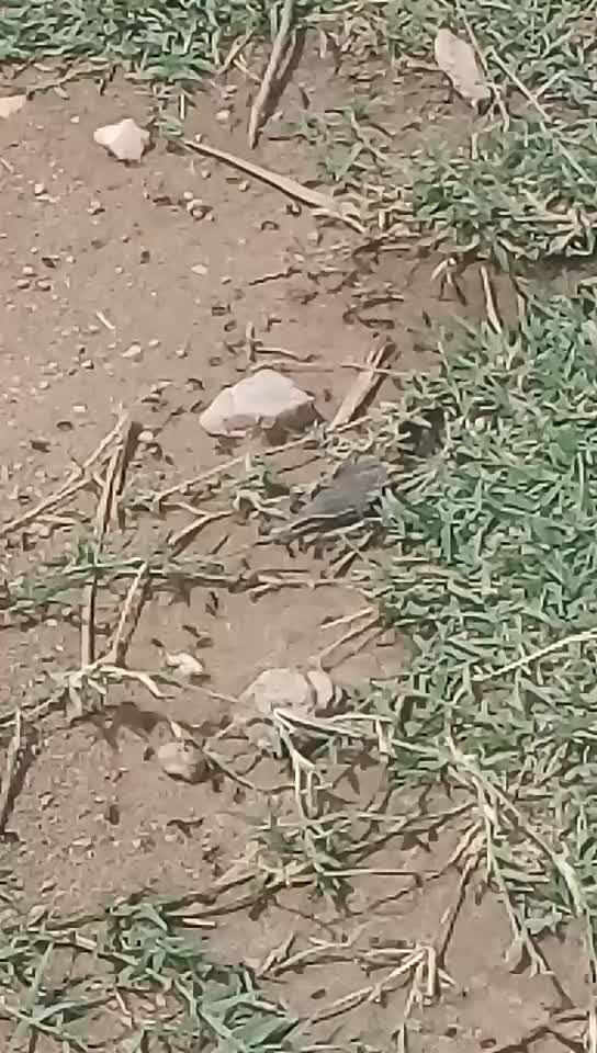 @@cute_🤗raj_😘24110