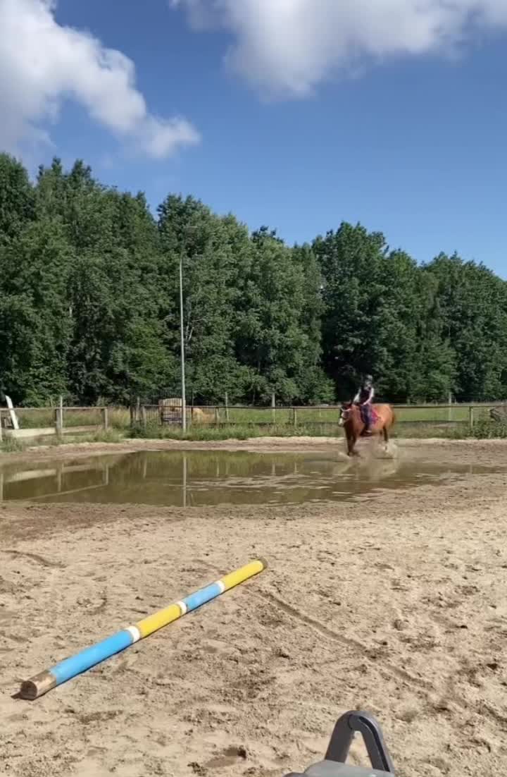 @W🦄