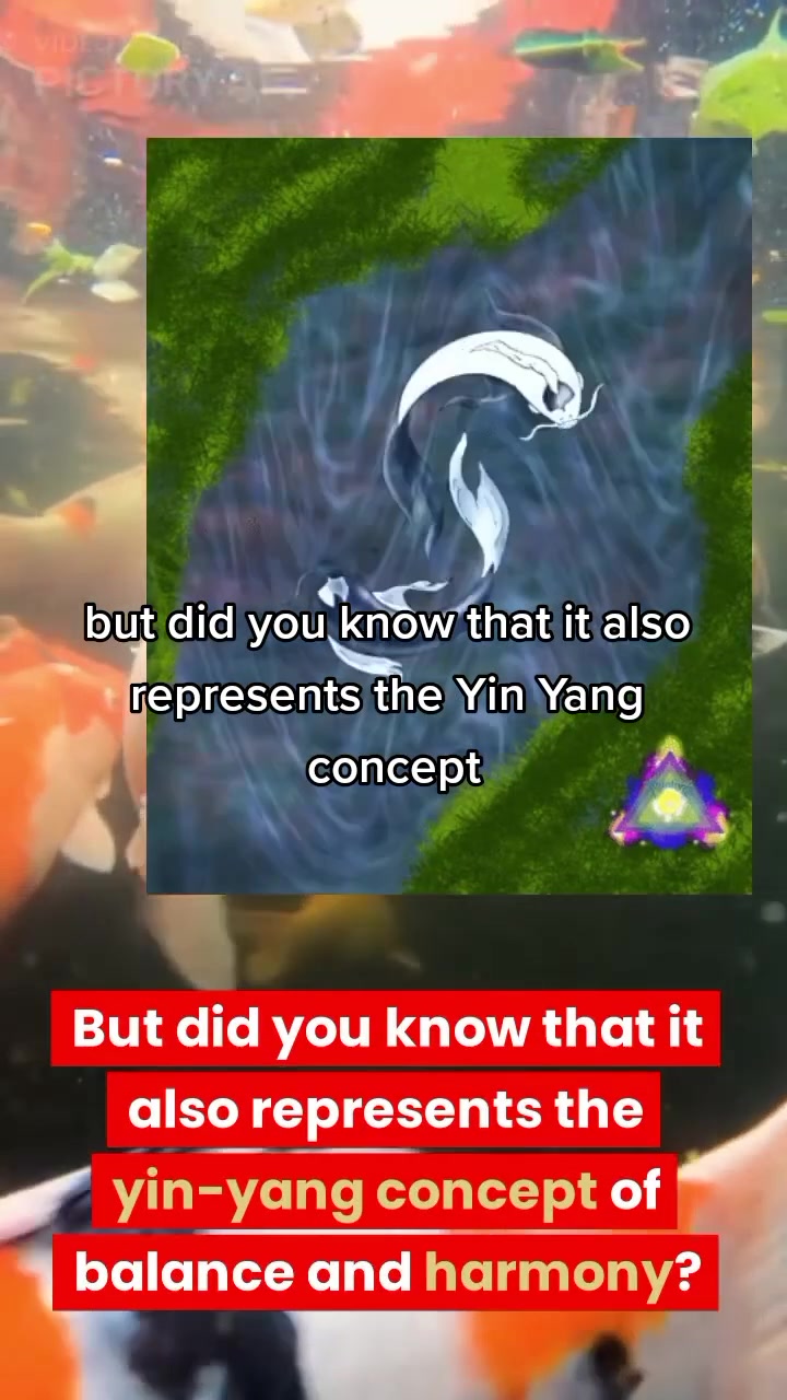 @Giovanni Carlo koi fish guy