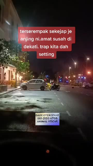@Dady Oyen ANIMAL AKTIVIS🇲🇾