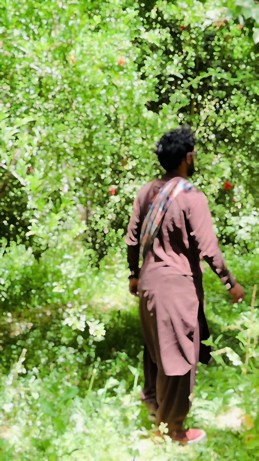 @Gull Baluch