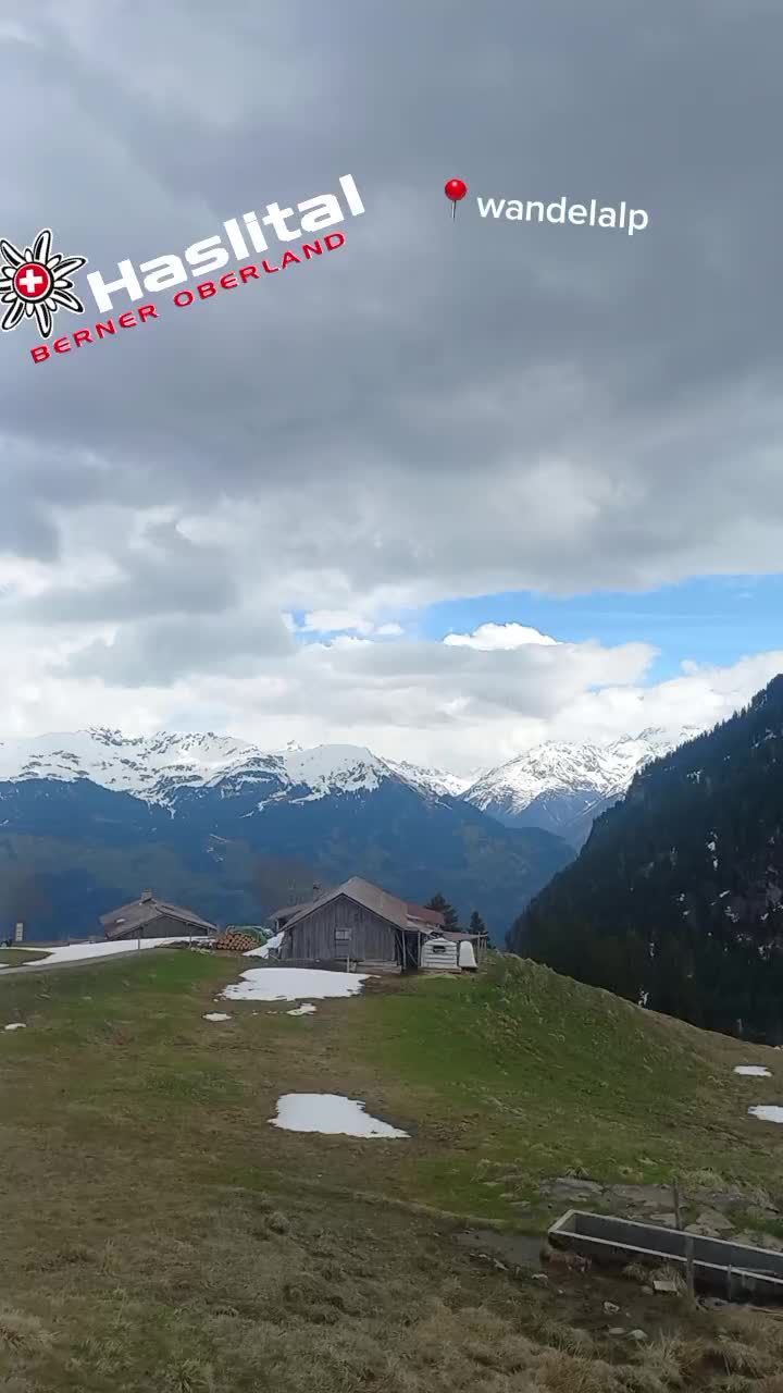 @timo moor