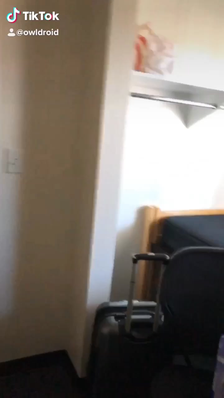 @🦉