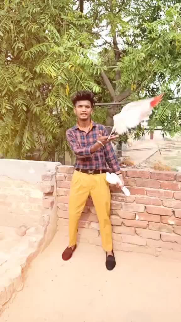 @vijay_singh