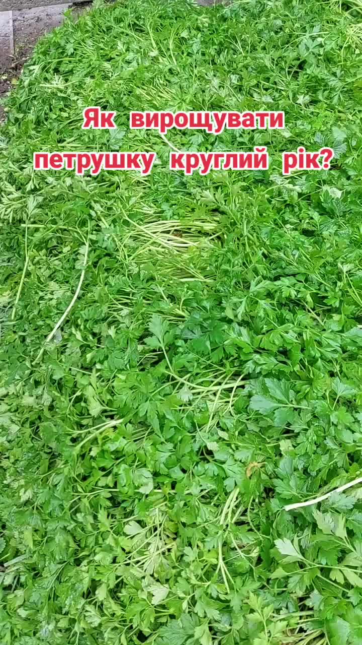 @BaraholkaUKRAINE