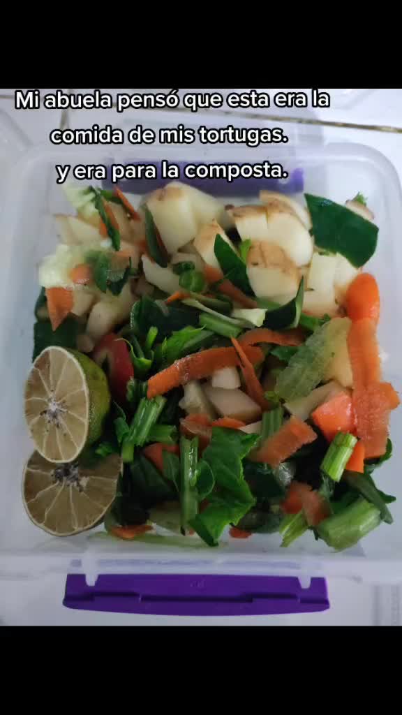 @DellGtz🐢🌺