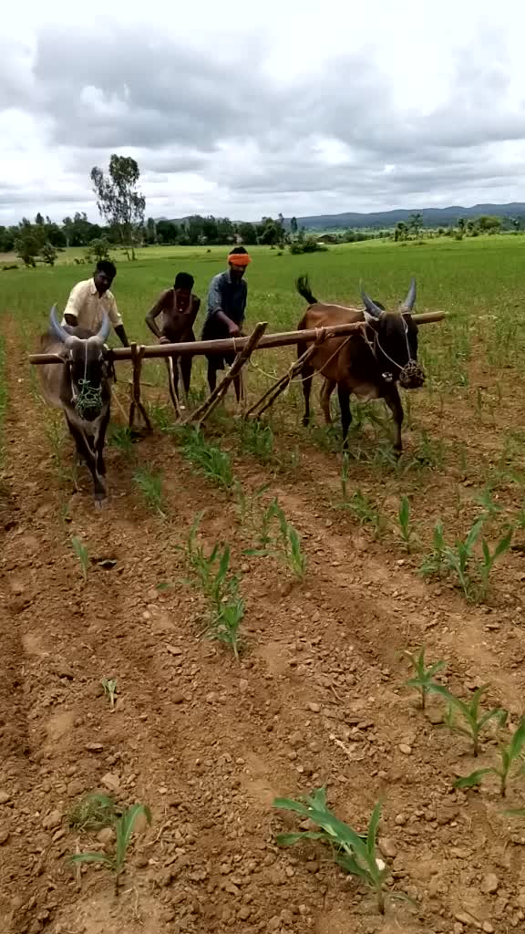 @ಪ್ರವೀಣ್ ಶಿಕಾರಿಪುರ