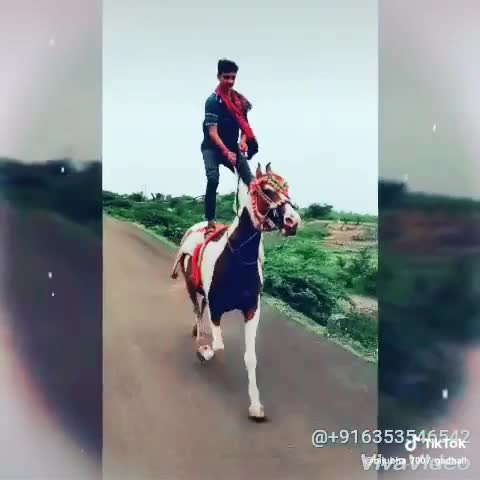 @jayrajsinh_7007