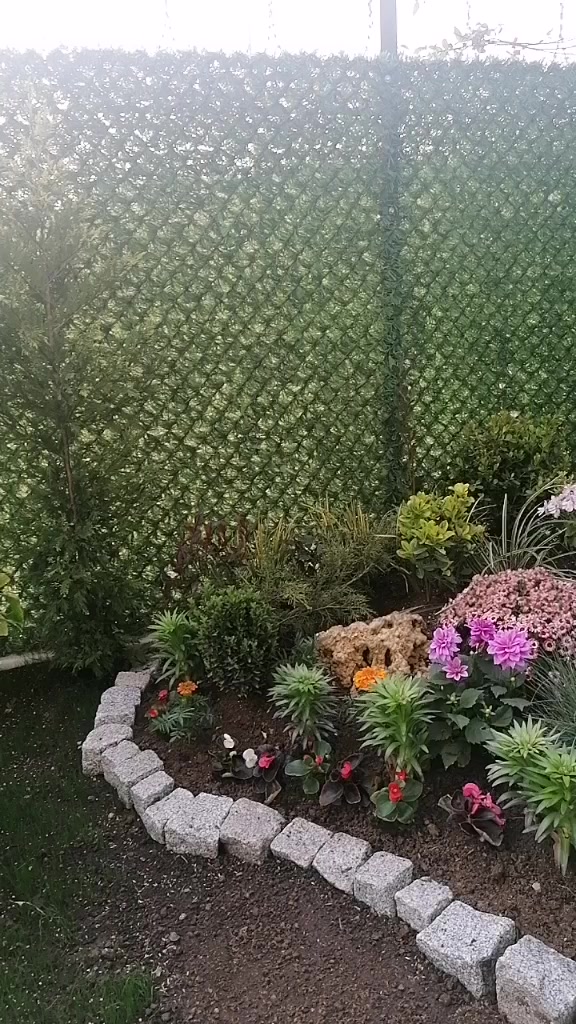 @Özgür akar
