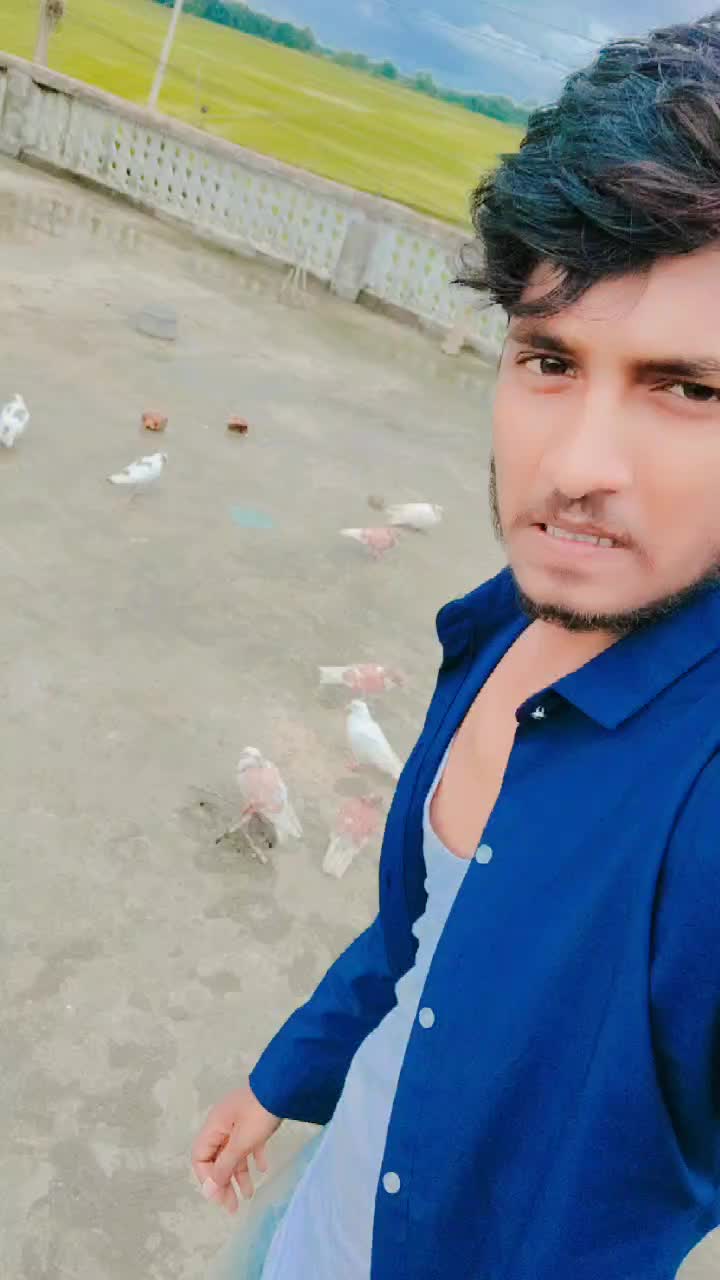 @shivsharma