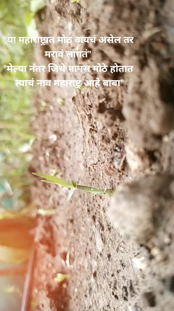 @🗡आम्ही_कट्टर_भिमभक्त🗡