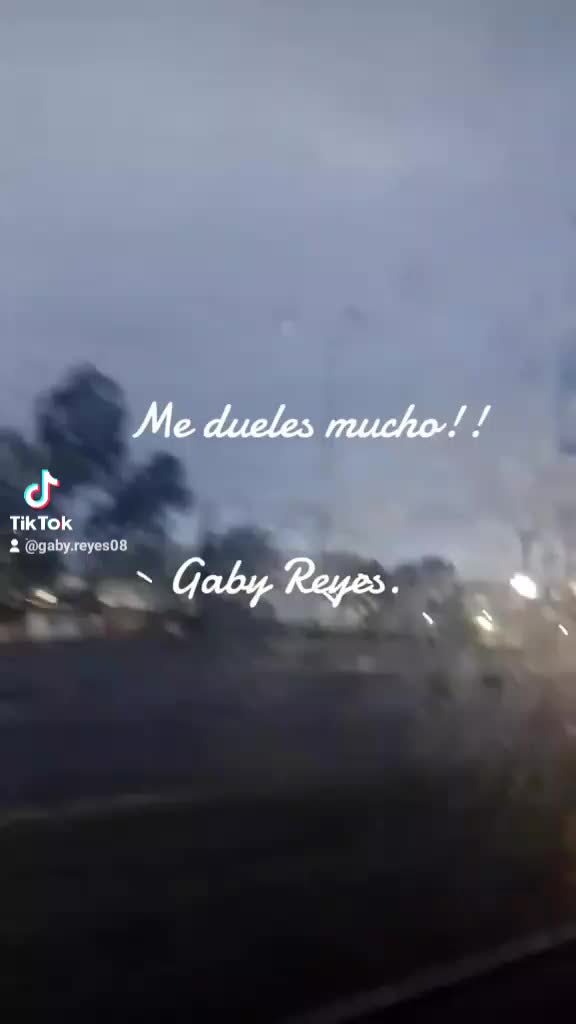 @Gaby Reyes.