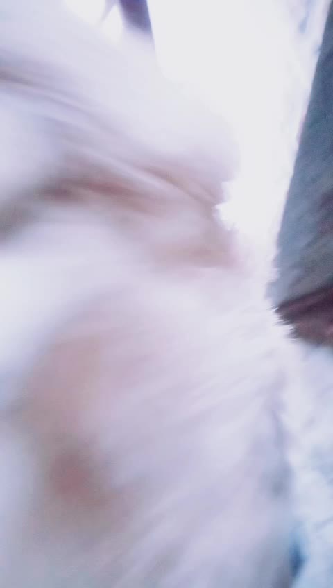 @katil parche