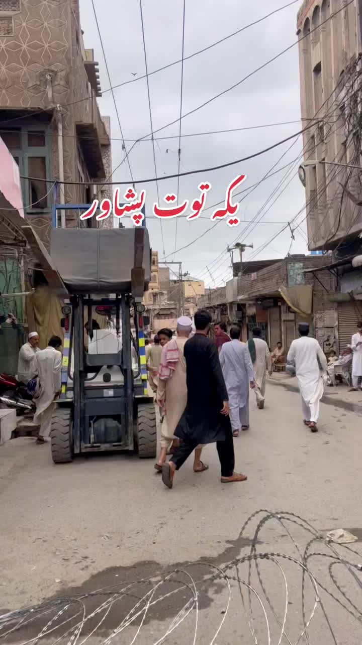 @zee_2564🇵🇰🇳🇿