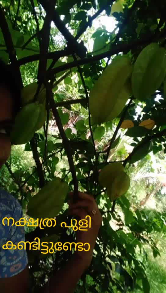 @Mahima. A
