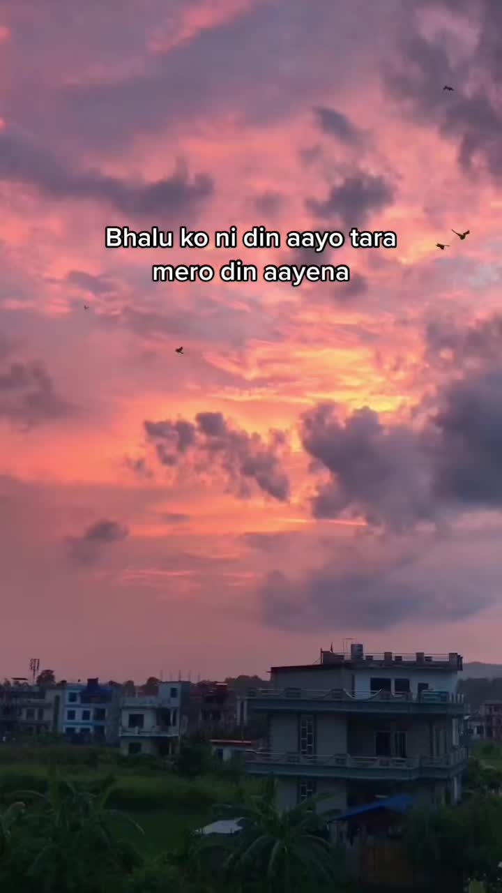 @hallelujah