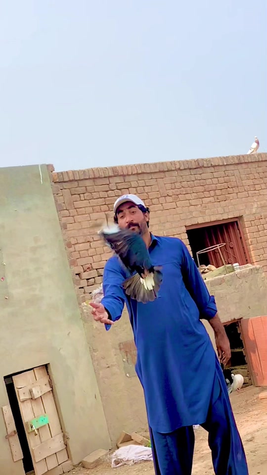 @Rajazobi1