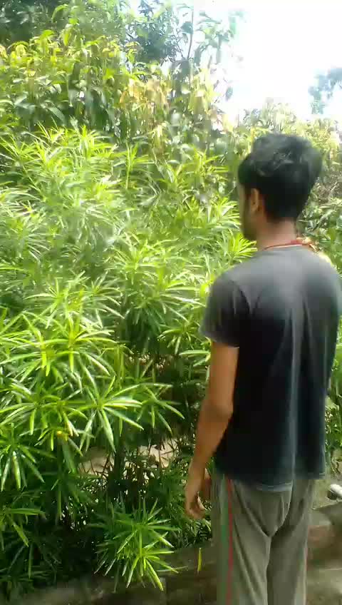 @Osm Raja