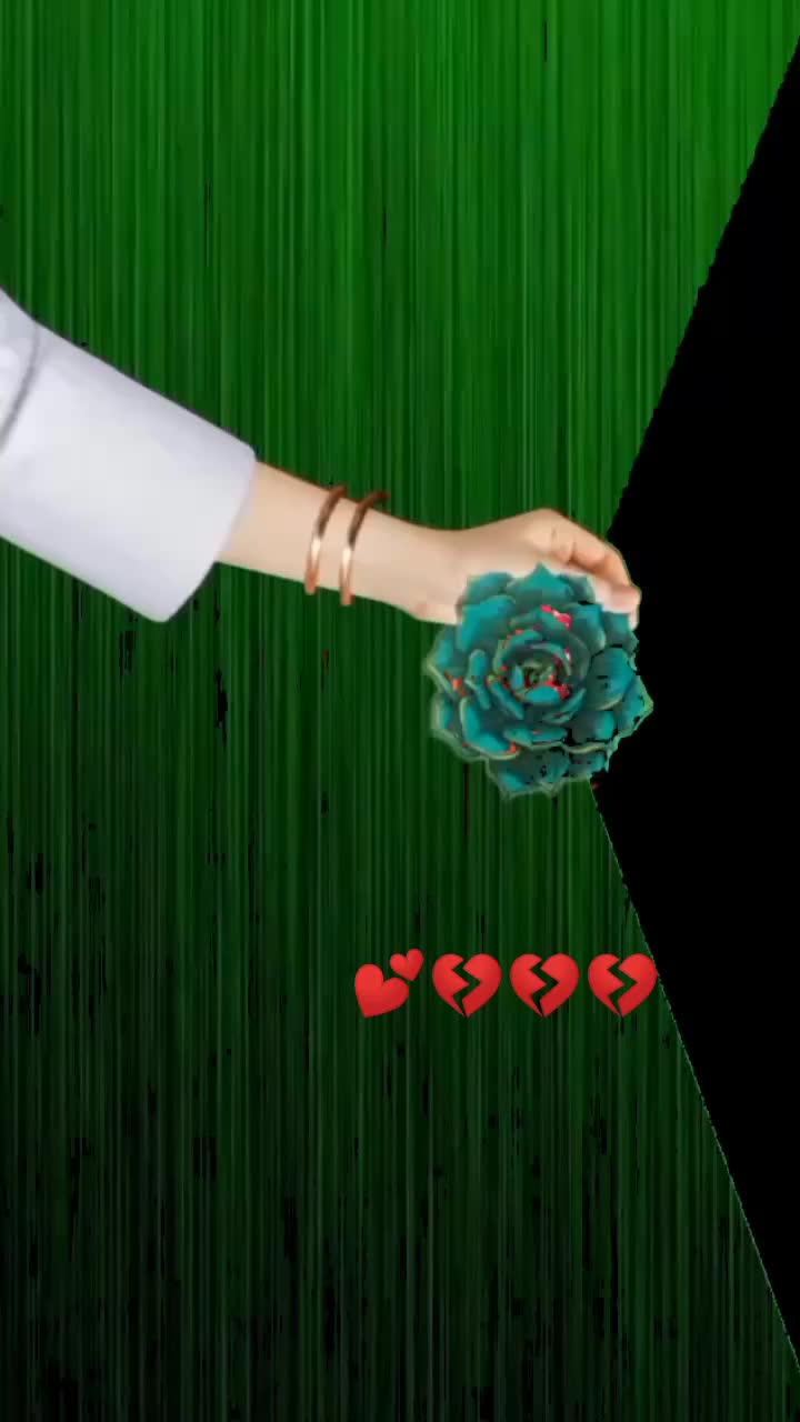 @tarashahachandcha 55