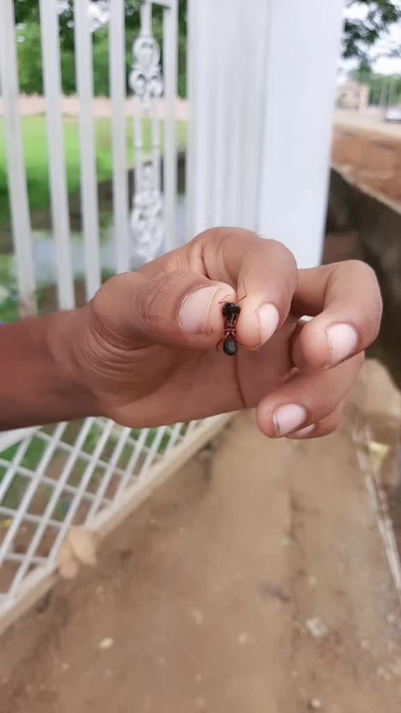 @Bishu Bhai