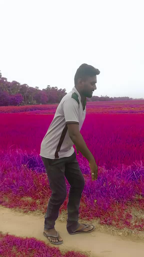 @Siva Vaila