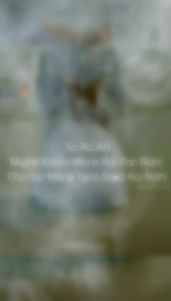 @Afsana Sayyed