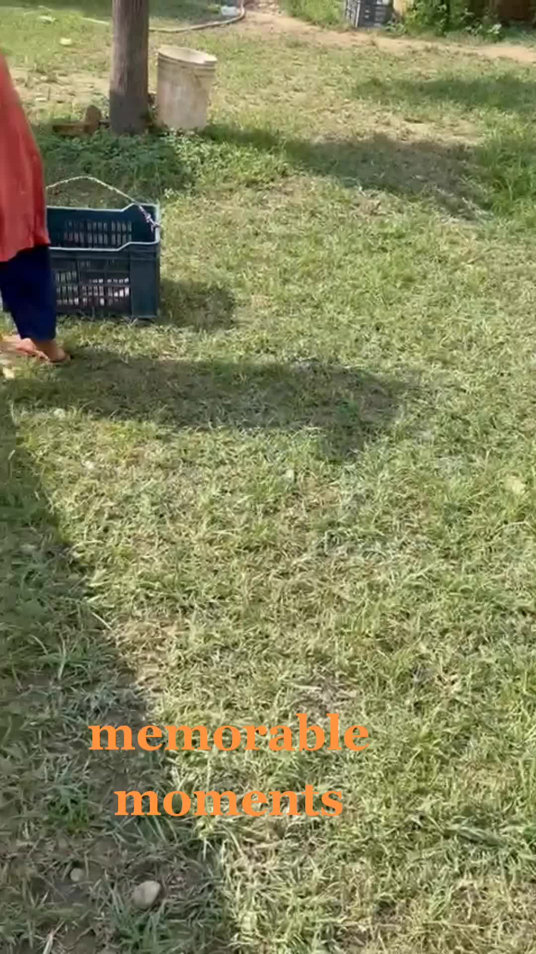 @✴✷  🎀बिकाश मगर🎀  ✷✴