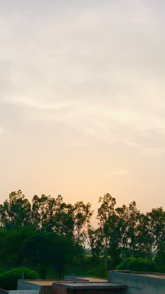 @Jiya Bishnoi
