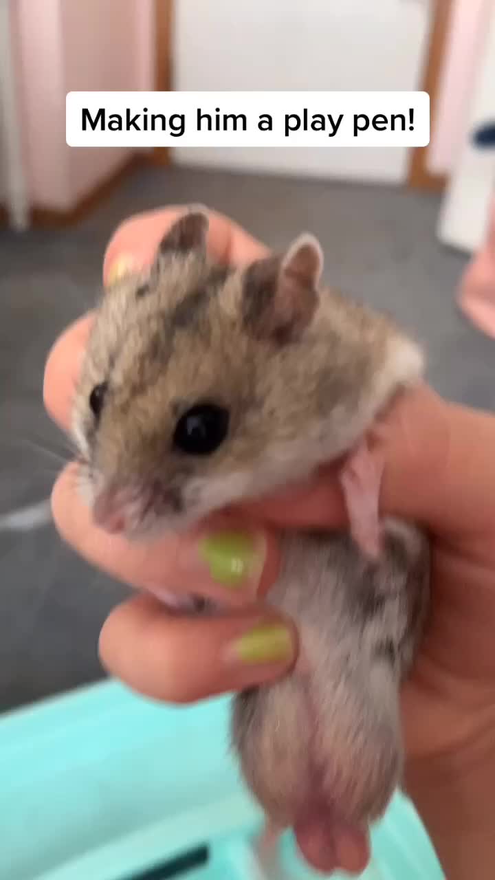 @Hi I’m bob let’s be friends!!!