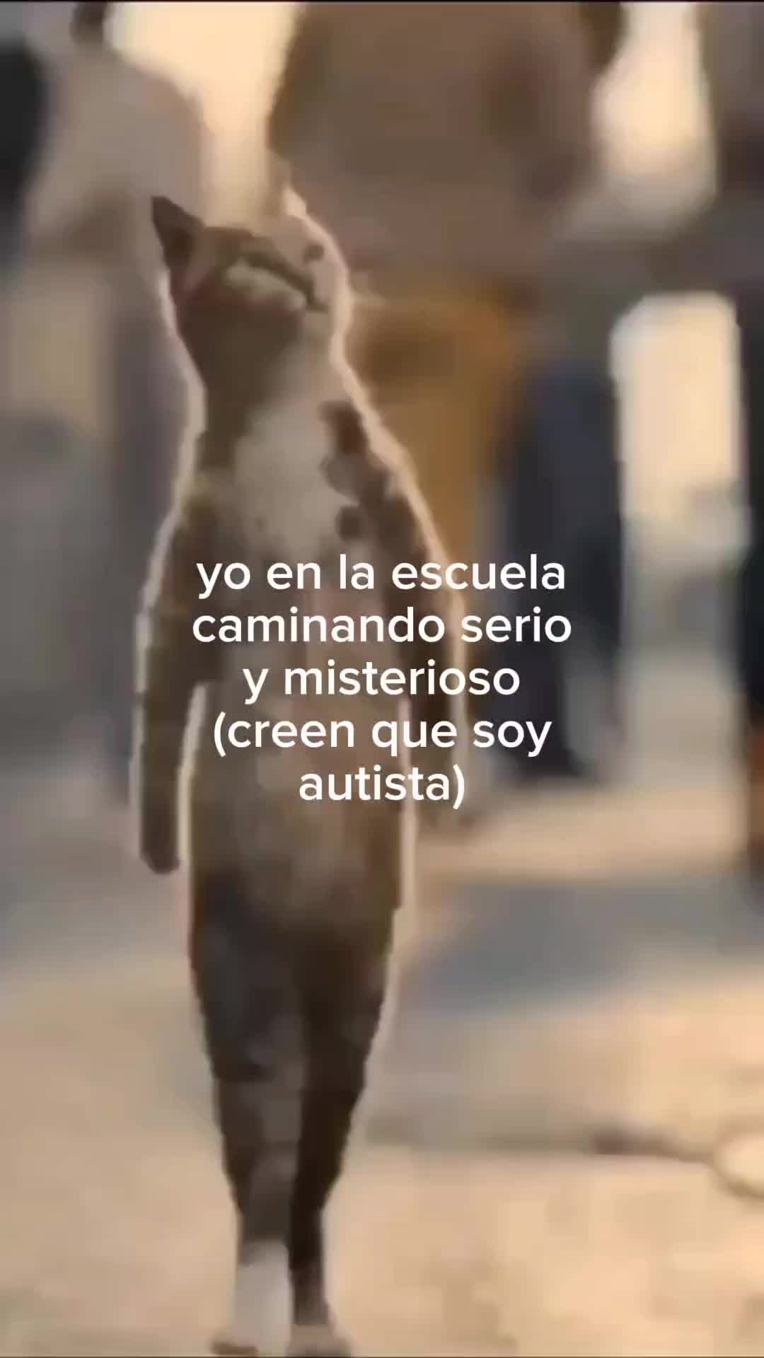 @angel_deje