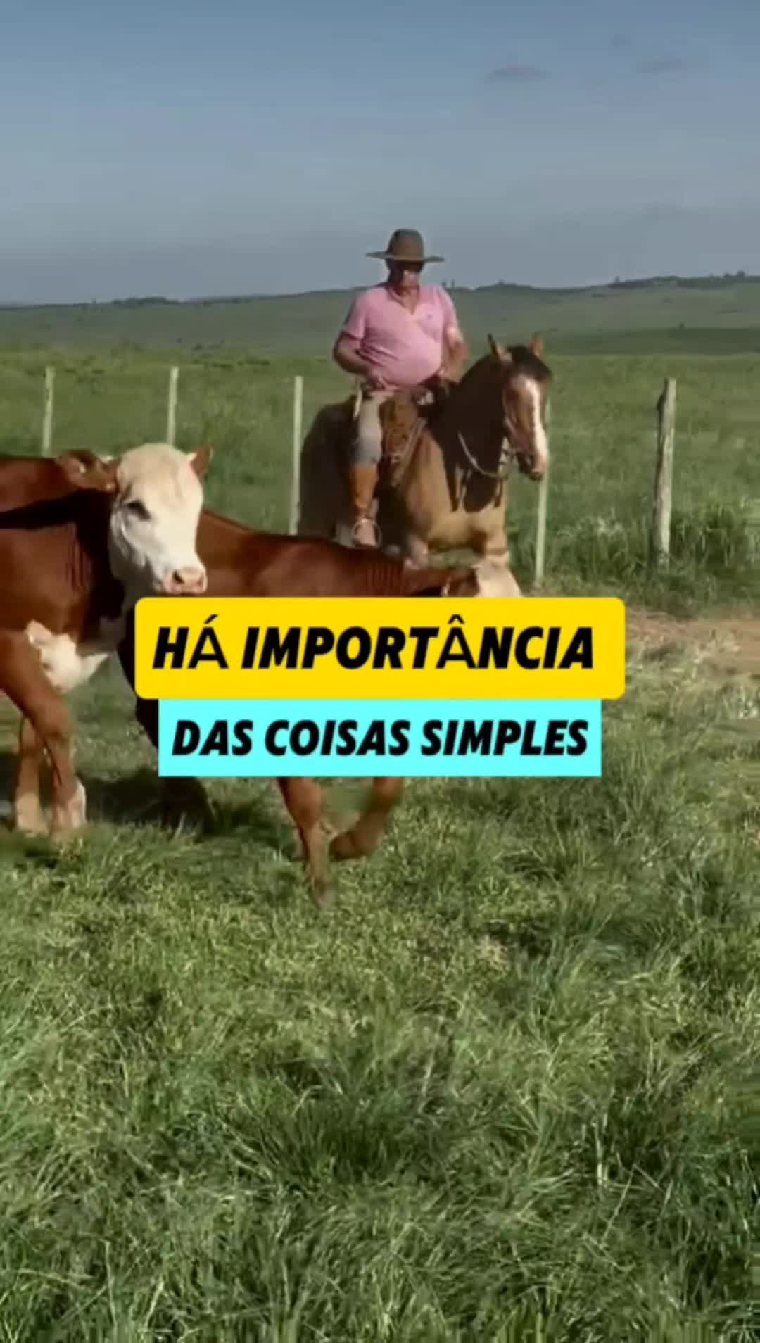 @João Antônio Rupp