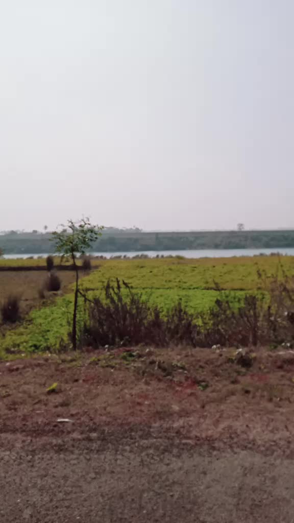 @Kumar Rahul7377