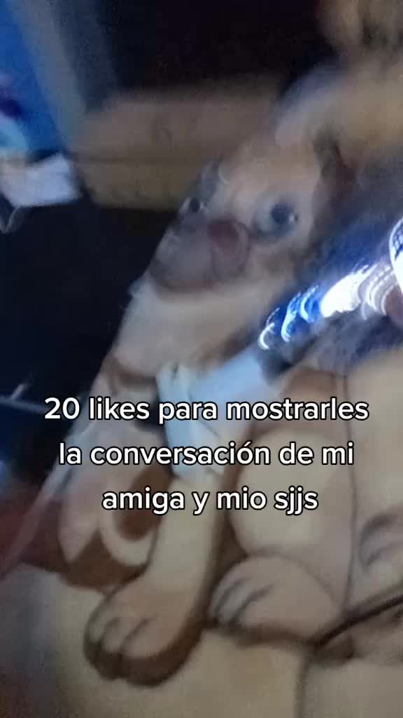 @editsdetodo