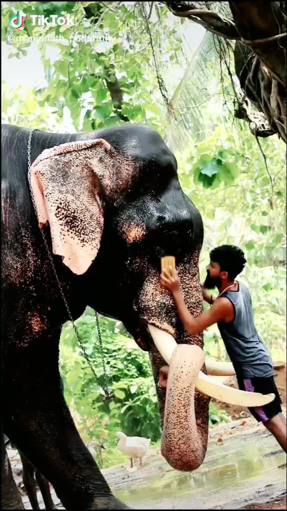 @Akash Kukku