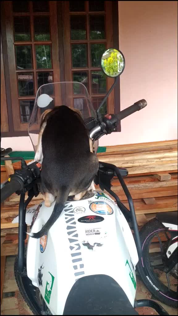 @തൃശ്ശൂർക്കാരൻഅച്ചായൻ