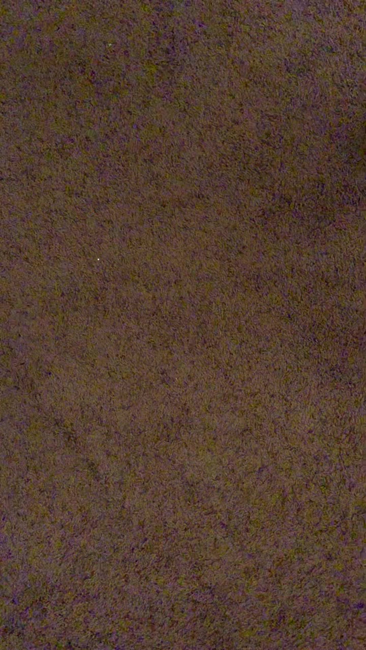 @Aesthetic ♡