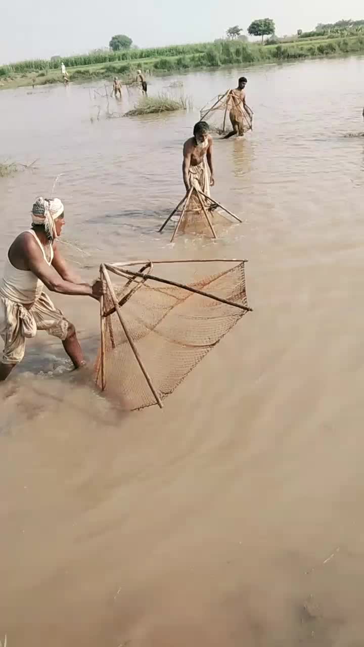 @Malik Bhai8423