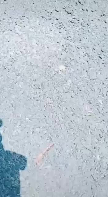 @꧁༒☬ⒼⒶⓊⓉⒶⓂ☬༒꧂