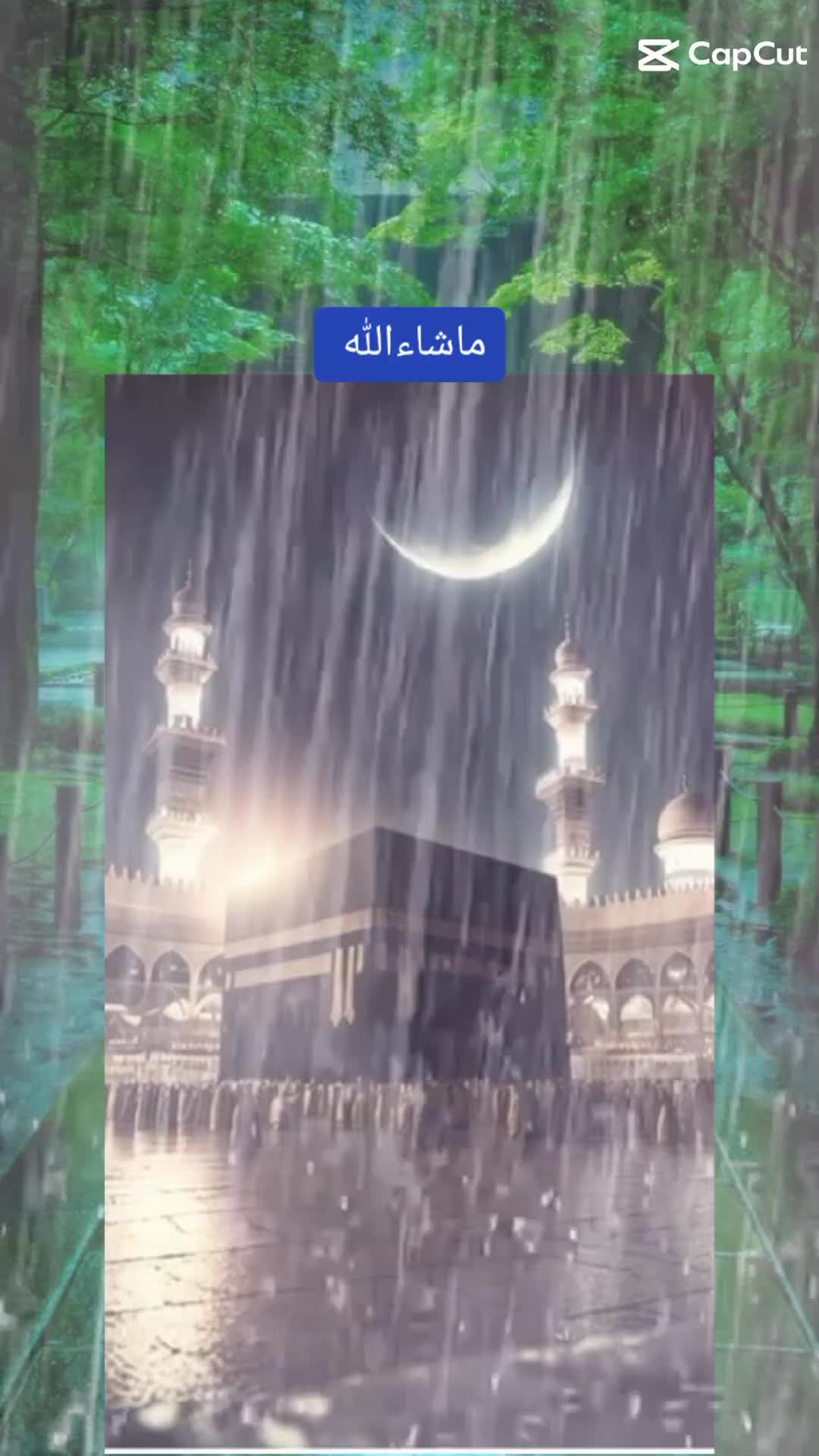 @RaisAyoub72