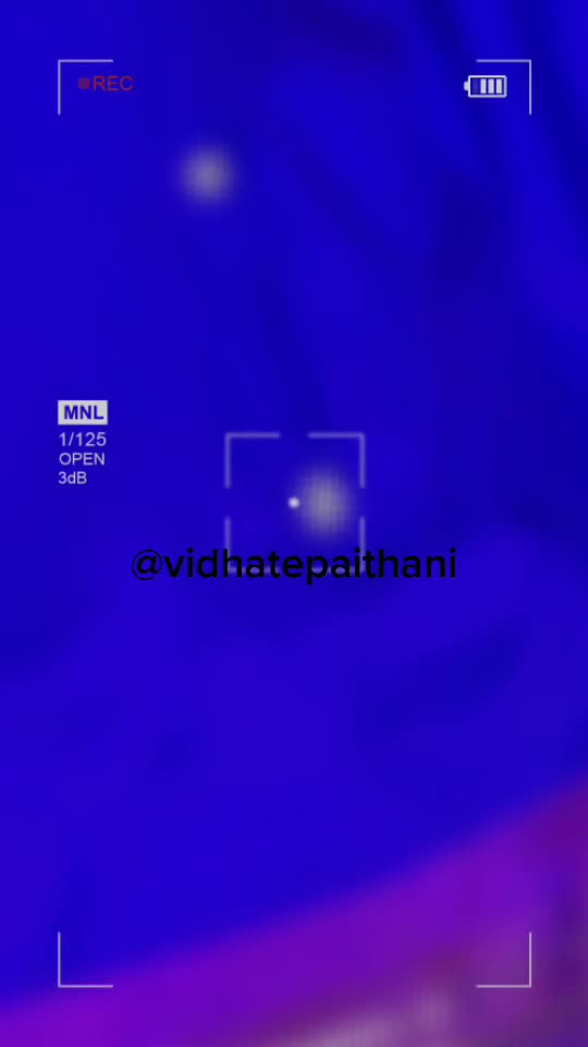 @Vidhate Paithani